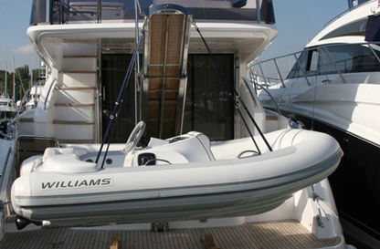 Rapid Marine Transom Passerelle/Two Point Lift for All Tenders - SWL 350kg - image 2