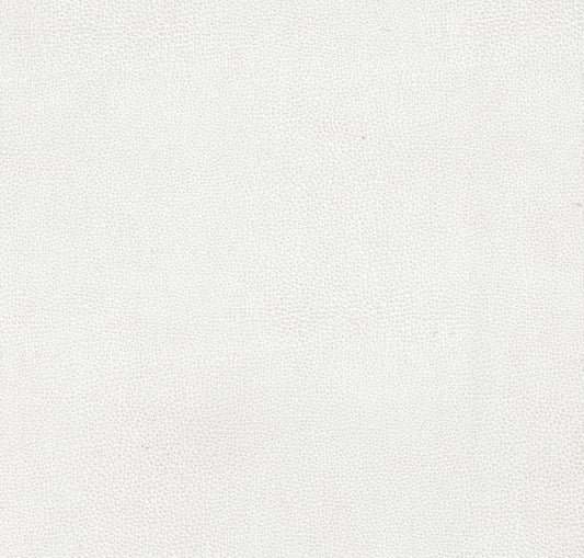 Majilite Ovation Light Grey Foam Backed Upholstery Material – Y671873