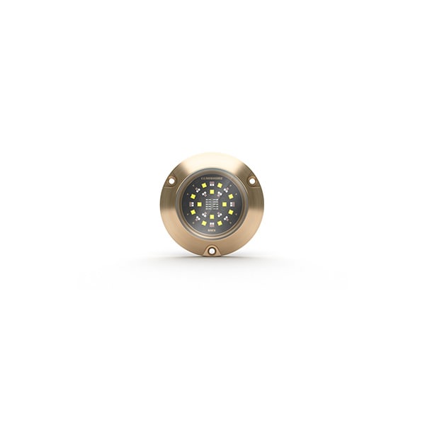 Lumishore® SMX154 Underwater Surface Mount 1