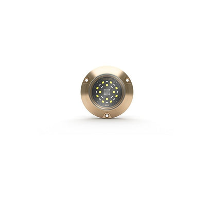 Lumishore® SMX54 Underwater Surface Mount 1