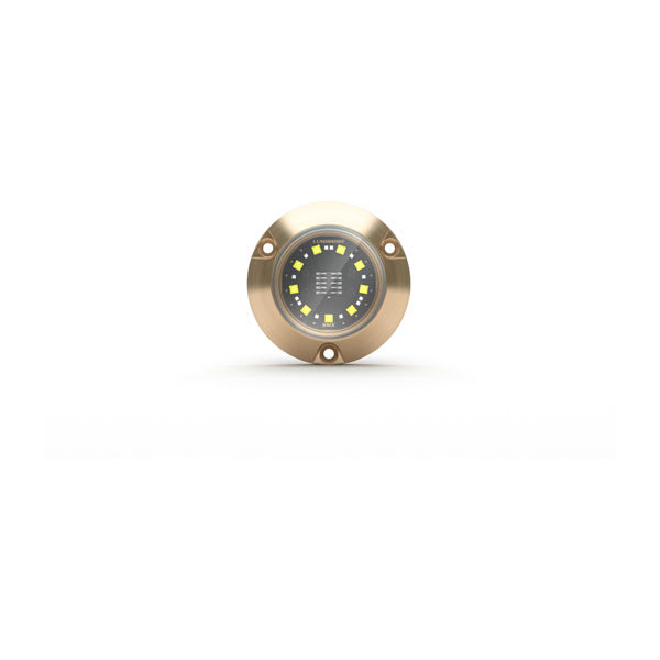 Lumishore® SMX24 Underwater Surface Mount