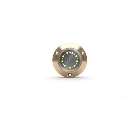 Lumishore® SMX24 Underwater Surface Mount