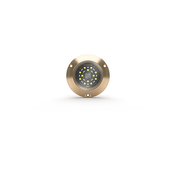 Lumishore® SMX54 Underwater Surface Mount