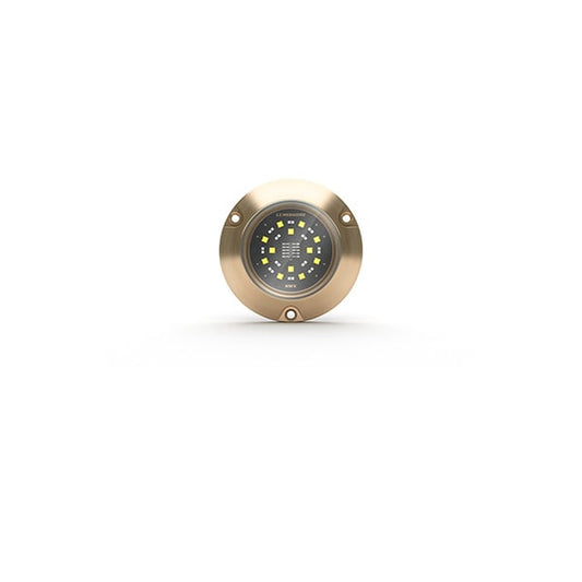 Lumishore® SMX54 Underwater Surface Mount
