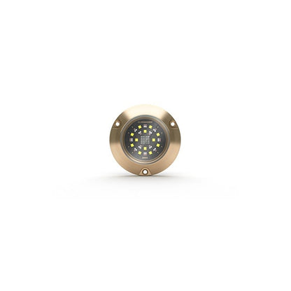 Lumishore® SMX154 Underwater Surface Mount