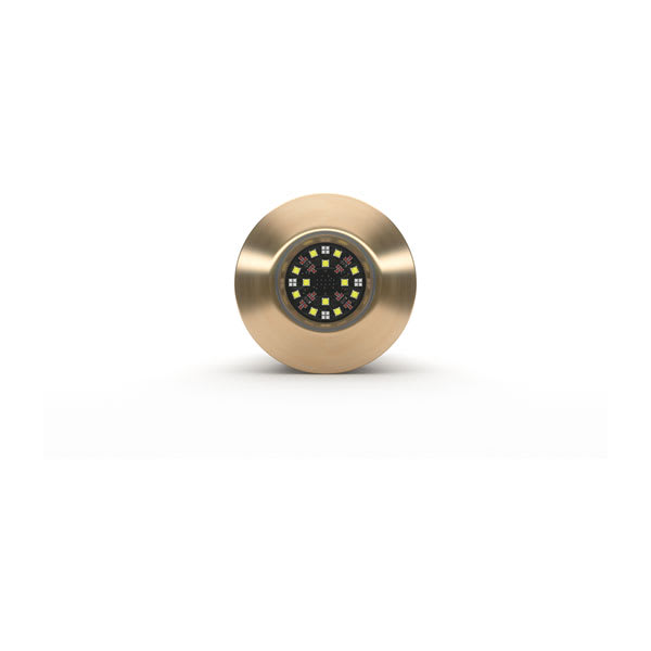 Lumishore® TIX404 Underwater Interchangeable Thru-hull